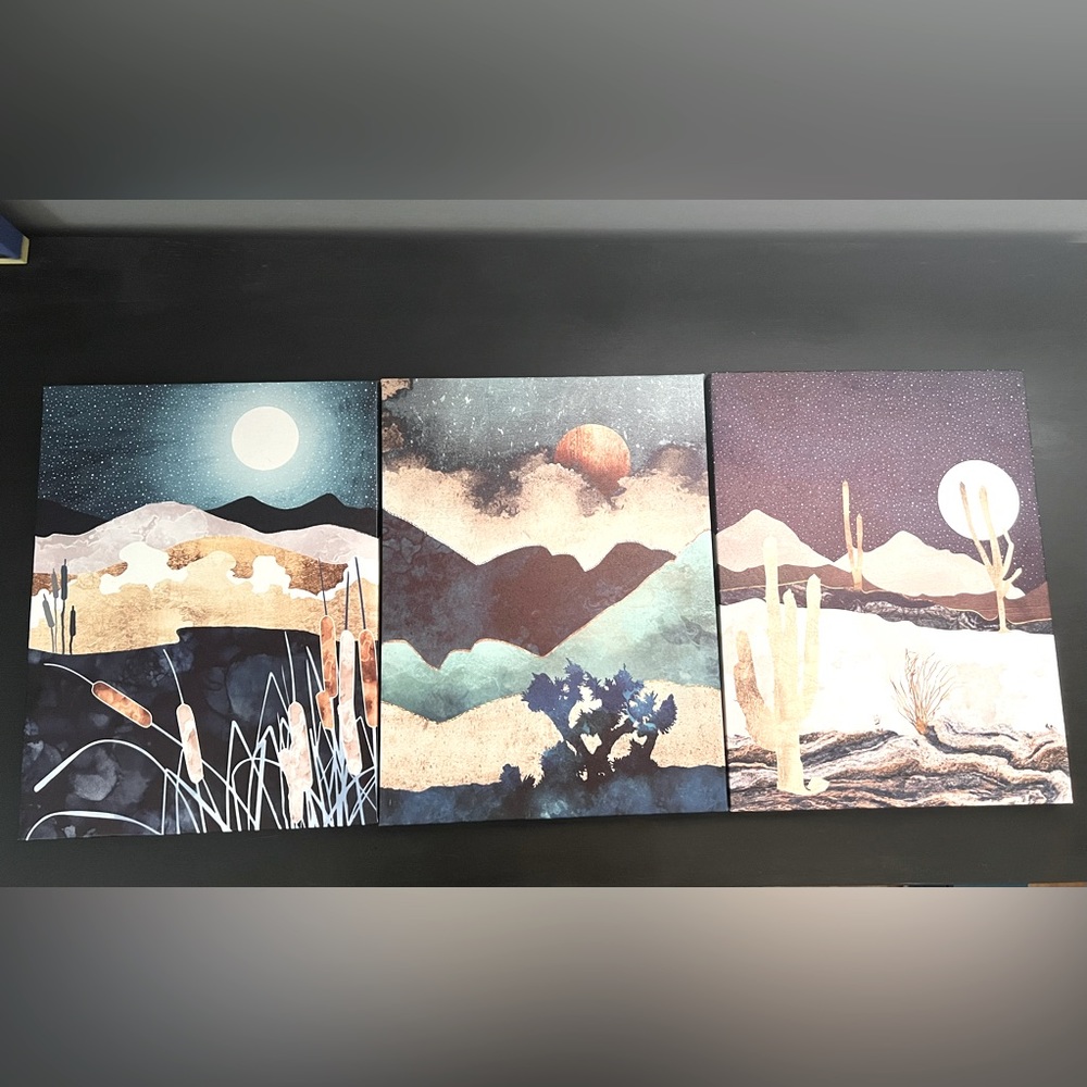 ✨3pc Canvas Set✨
